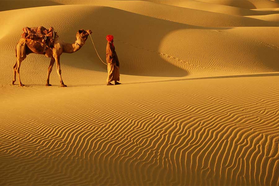 Rajasthan Tour